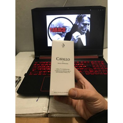 Cavallo Gino Ferarra (Nano) Cavallo Gino Ferarra (Nano)