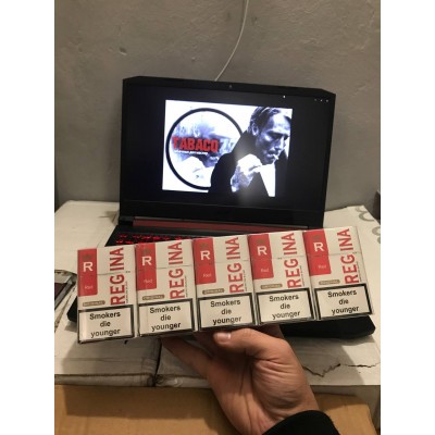 Regina QS Red Regina QS Red