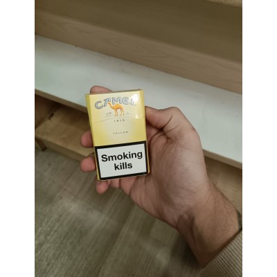 Camel Since 1913 Yellow Camel Since 1913 Yellow
